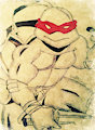 Teenage mutant ninja turtles 2003 Raphael Red