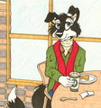 Cafe Collie