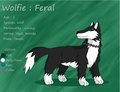 Wolfie Feral Ref by Tenshikitsune