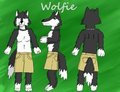 Wolfie Ref by Tenshikitsune