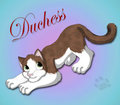 Duchess by CCLebo