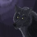 Werewolf doodle