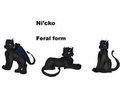 Ni'cko in his Feral form