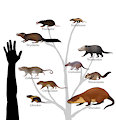 Commission: Mammals of the Morrison Formation (First Color)