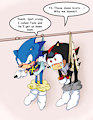 Re-Done: Sonic and Shadow - Double Hanging Wedgie by SDCharm