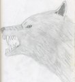 Wolf Head  by WolfeMasters