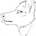 Wolfe Masters Raspberries  by WolfeMasters
