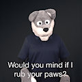 "Would you mind if I rub your paws?" ASL Gif