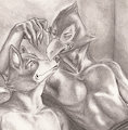 Fox & Falco by SeanHart