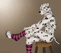 Dalmatian with socks