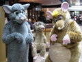 Rattus and Wiggy at EF