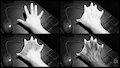 Otter paw transformation sequence