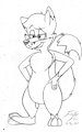 Findley the Cartoony Fox