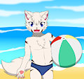 Shiro in beach