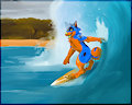 Surf's up!