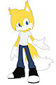 Cody the Fennec Fox Character Sheet by CodyFennecFox