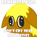 Don't Cry Near Explosives - Stupid Stuff Autis Said Meme