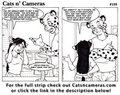 Cats n Cameras Strip 109 - Giant hole