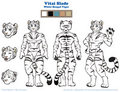 Vitai Biped Character Sheet by VitaiSlade