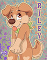 BLFC badge: Riley