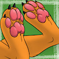 Some Paws