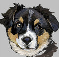 Puppy in Painter by SoraSlipheed