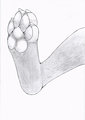 Footpaw Sketch by MilesWaltz