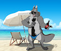 Beach wolf dad