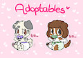 SBF Adoptables 1 - All gone