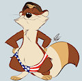 Proud to be an Ameri'coon by UrbanSaint