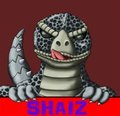 Shiaz Icon