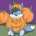 Pumpkin Patch Cubs Icon: ZanZan
