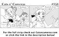 Cats n Cameras Strip #358 - Pom Pom a Calling!