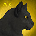 Nix Icon by NixCat