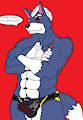wolf o'donnel speedo (colored)