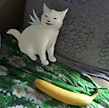 Upset Fruit Cat