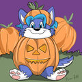 Pumpkin Patch Icon: Rollar Wolf Cub