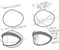 Vex's Eye Guide