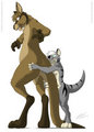 Mischevious thylacine