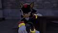 Shadow and Rouge 3D