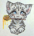 Honey Cat by Devnet