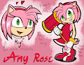 Amy Rose Character Study by EdgarKingmaker