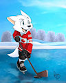 Pent playing Hockey on the Lake by pentrep