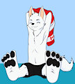 Pent's paws