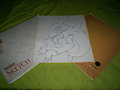 Two large sketch books and renamon pic