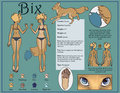Bix Reference Sheet by bix707