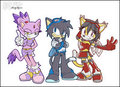 Sonic Riders - Team Pussy by Purity