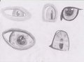 Eye Practice 1