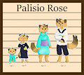 Palisio's Age Chart
