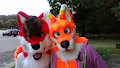 Candy Corn Fox Aeve